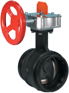 Valvola a farfalla scanalata a doppio switch Style 705